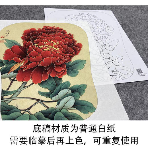 【大彩图】李晓明工笔画白描底稿宫扇《丹如火》牡丹临摹勾线花鸟线稿K008 商品图3