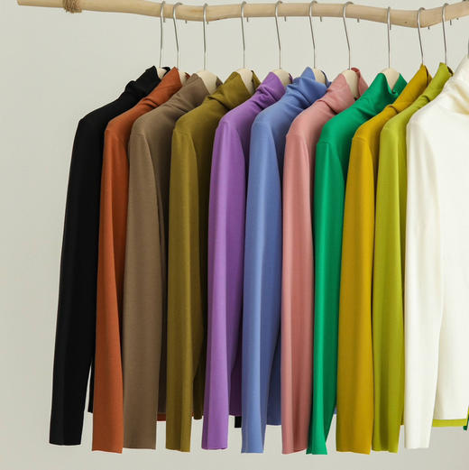 女款德绒4.0版蚕丝恒温衣（高领） 商品图0