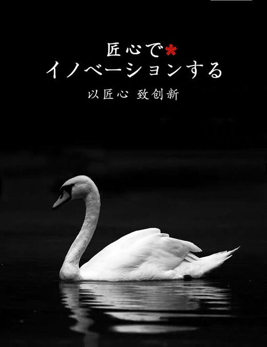 【出口匈牙利 鹅绒被】外贸公司 余量零售的 高蓬松 轻柔 舒适 鹅绒被 商品图12