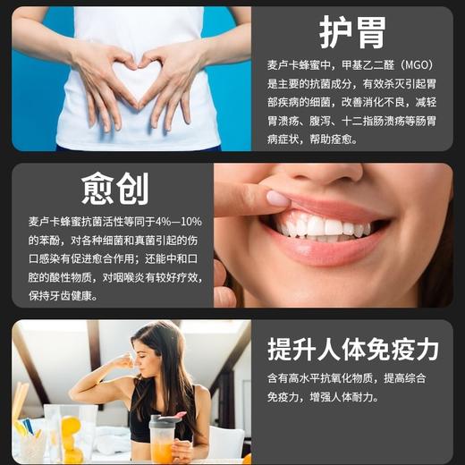 澳洲豪斯佳敦麦卢卡蜂蜜5+(MGO83+) 250g 商品图2