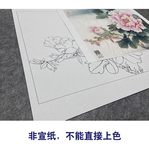 【大彩图】李晓明工笔画白描底稿小品《重绘赵粉》牡丹花鸟线稿K024 商品图2