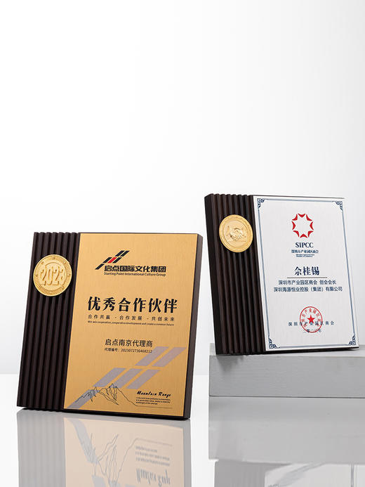 奖牌定制创意金属徽章实木优秀员工退休纪念品合作加盟授权牌订做 商品图3