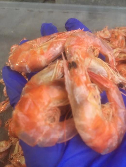 【近日新晒虾干】复州湾盐场大姐家新晒黑皮虾干，60-130头/斤即食大虾干，活虾蒸煮后传统手工日晒，不是烘烤的，好吃健康，营养美味，3斤活虾才能晒出1斤虾干，大连特产，辽宁省内包邮（收到货需冷冻保存） 商品图2