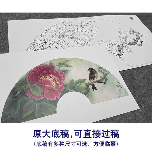 【大彩图】李晓明工笔画白描底稿扇面小品《蜡嘴魏紫》牡丹临摹勾线花鸟线稿K001 商品图1
