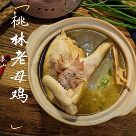 泰山桃林老母鸡 自然慢养 能飞善跑 皮爽肉滑