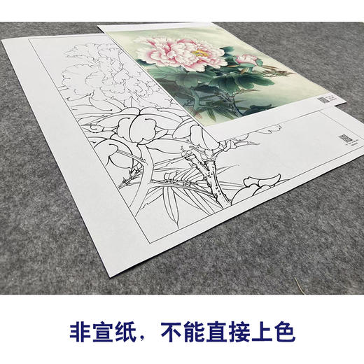 【大彩图】李晓明工笔画白描底稿小品《玉芙蓉》牡丹临摹勾线花鸟线稿K031 商品图2