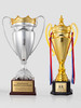 奖杯定制做特大号纯金属足球赛事欧冠荣誉奖杯比赛夺冠纪念品订制 商品缩略图0