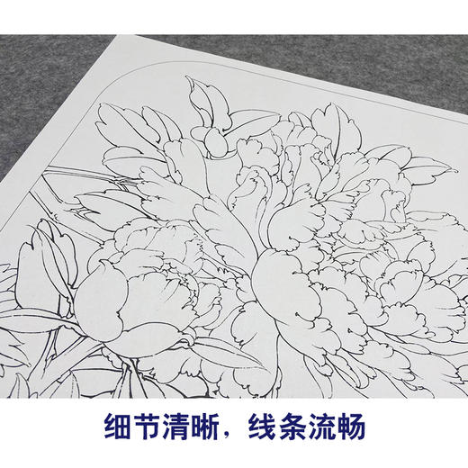 【大彩图】工笔画白描底稿小品《青龙卧墨池》牡丹临摹勾线花鸟线稿K012 商品图4
