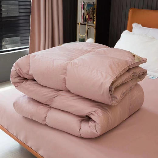 【出口匈牙利 鹅绒被】外贸公司 余量零售的 高蓬松 轻柔 舒适 鹅绒被 商品图4