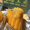 绿塔~甜糯软香玉米 商品缩略图4