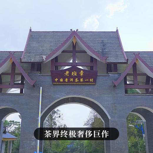 【老班章单株】2023年头春头采茶界奢侈巨作尽享高端奢华普洱茶生茶茶饼357克/饼拍5发6每饼均免费赠送相框包装一个 商品图6