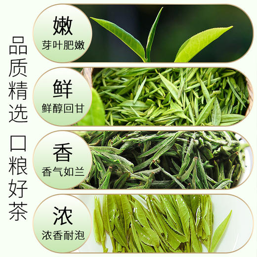 2025新茶 7星毛峰特尊明前安徽毛峰绿茶80g*2袋 商品图4