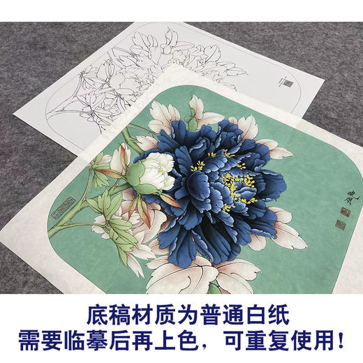 【大彩图】工笔画白描底稿小品《青龙卧墨池》牡丹临摹勾线花鸟线稿K012 商品图3