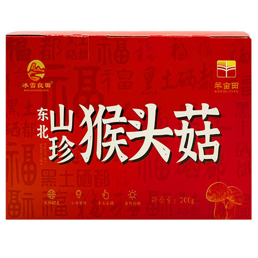 【冰雪良田】海伦市东北山珍猴头菇 200g 东北特产野生猴头菇 商品图2