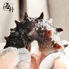 【2.5-2.17停发】【大连海参】海朴即食海参500g*3袋大连海参特产 商品缩略图5