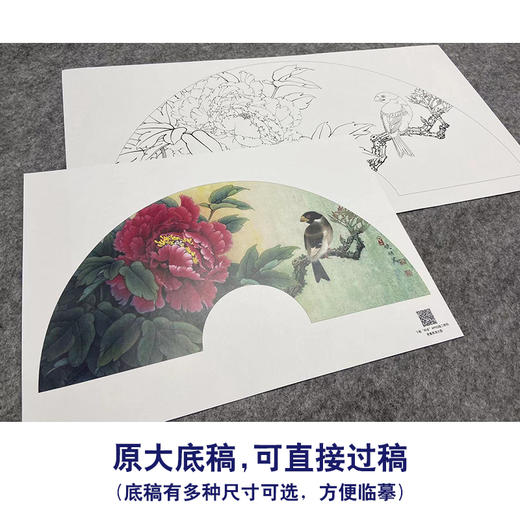 【大彩图】李晓明工笔画白描底稿扇面小品《蜡嘴小胡红》牡丹临摹勾线花鸟线稿K005 商品图1