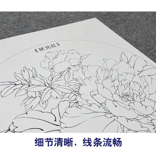 【大彩图】李晓明工笔画白描底稿小品《状元红》牡丹临摹勾线花鸟线稿K018 商品图4