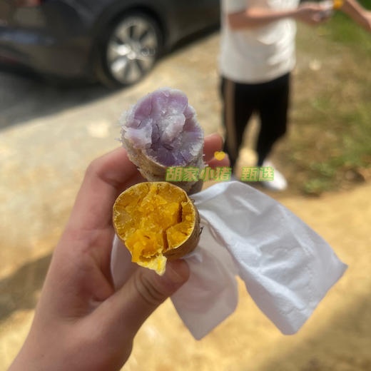 贵州·安顺·紫云·地理标识红心薯·紫薯（五斤/件全国包邮-除新疆西藏内蒙古甘肃宁夏） 商品图8