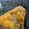 绿塔~甜糯软香玉米 商品缩略图3