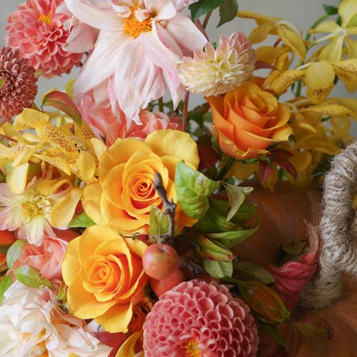 缤纷盛装 Dress Up 商品图1