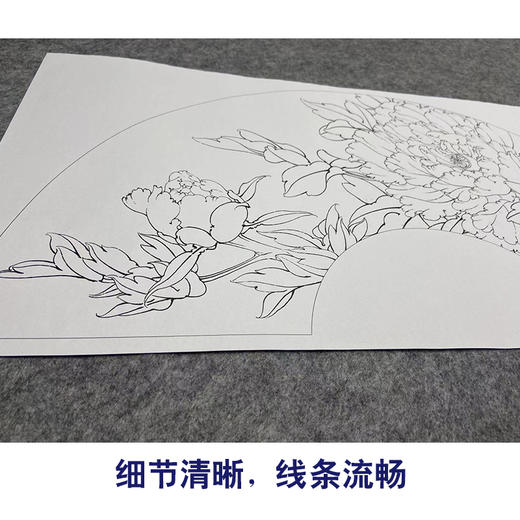 【大彩图】李晓明工笔画白描底稿扇面小品《夜光白》牡丹临摹勾线花鸟线稿K003 商品图4