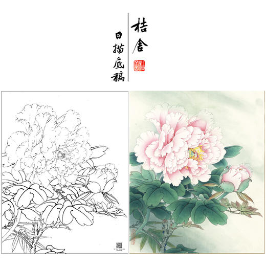 【大彩图】李晓明工笔画白描底稿小品《玉芙蓉》牡丹临摹勾线花鸟线稿K031 商品图0