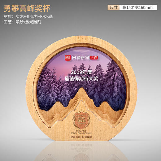 实木质水晶奖杯创意新款圆形水晶奖杯刻字企业员工荣誉颁奖牌订制 商品图1