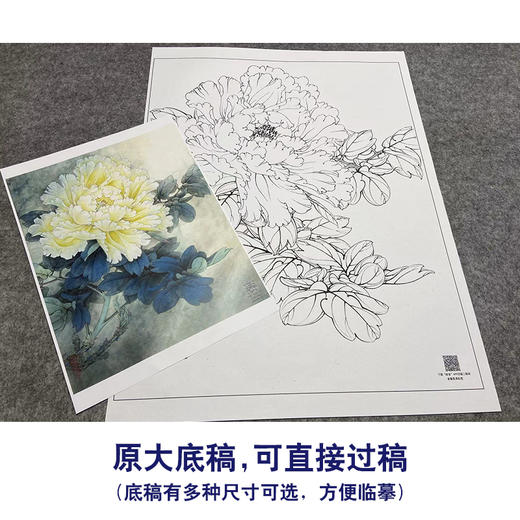 【大彩图】工笔画白描底稿小品《天香夜染衣》牡丹临摹勾线花鸟线稿K032 商品图1