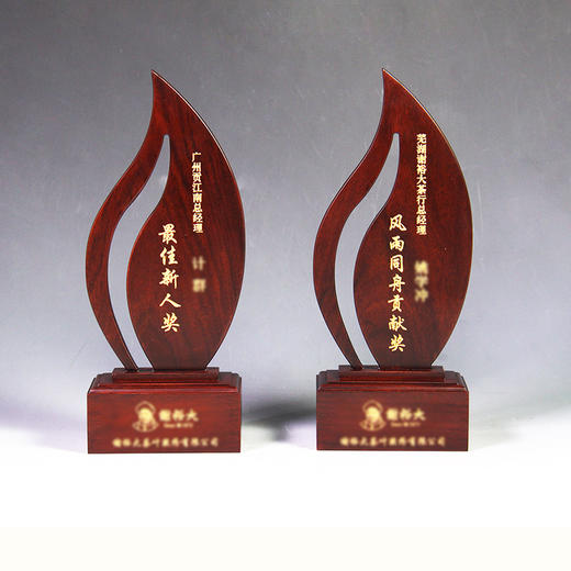 设计定制 实木奖杯奖牌 接受客户来稿定制 商品图4