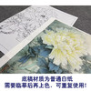 【大彩图】工笔画白描底稿小品《天香夜染衣》牡丹临摹勾线花鸟线稿K032 商品缩略图3