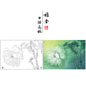 【大彩图】李晓明工笔画白描底稿小品《夜光白》牡丹临摹勾线花鸟线稿K025
