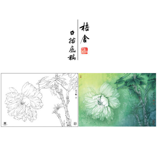 【大彩图】李晓明工笔画白描底稿小品《夜光白》牡丹临摹勾线花鸟线稿K025 商品图0