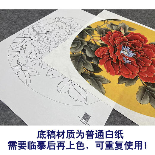 【大彩图】李晓明工笔画白描底稿小品《朱砂垒》牡丹临摹勾线花鸟线稿K017 商品图3