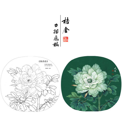 【大彩图】李晓明工笔画白描底稿小品《凤丹白》牡丹临摹勾线花鸟线稿K013 商品图0