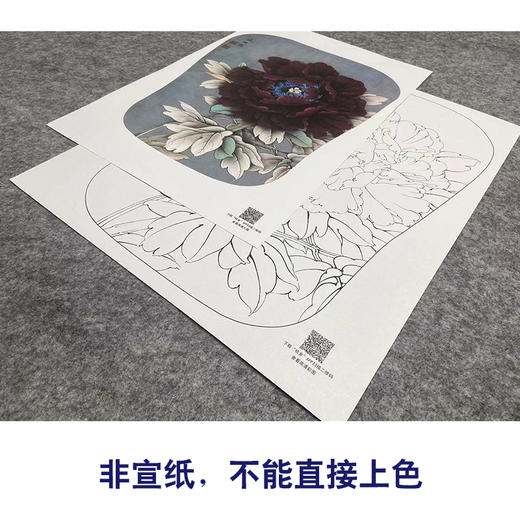 【大彩图】李晓明工笔画白描底稿宫扇《墨花魁》牡丹临摹勾线花鸟线稿K009 商品图2
