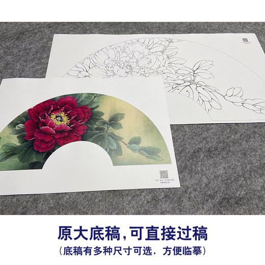 【大彩图】李晓明工笔画白描底稿扇面小品《胡红》牡丹临摹勾线花鸟线稿K004 商品图1