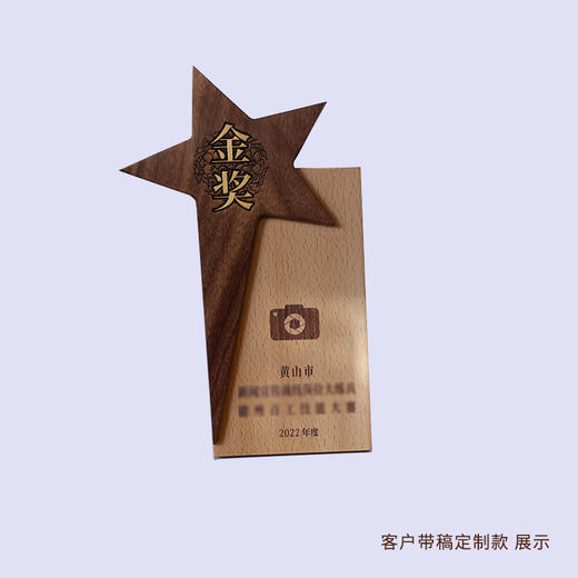 设计定制 实木奖杯奖牌 接受客户来稿定制 商品图3