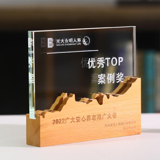 实木水晶奖杯奖牌定制定做创意授权牌抗疫纪念品表彰加盟牌 商品图3