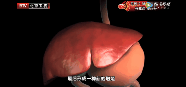 法国贵族用的千年解酒方！天然养肝王，每天吃一粒，轻松解酒护肝，排毒解毒~