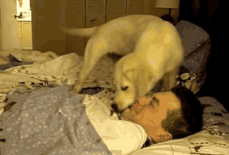 失眠，忧郁，健忘的救星，每天吃一粒，一觉睡到大天亮！