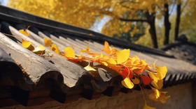 秋季耗“气血”的行为，除了熬夜还有它……