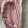 【郭兴大生羊肉】新疆巴什拜羔羊/羊肉带皮带骨 商品缩略图9