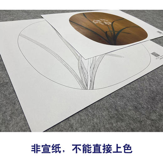 【大彩图】李晓明工笔画白描底稿小品《水仙图》兰花临摹勾线花鸟线稿K068 商品图2