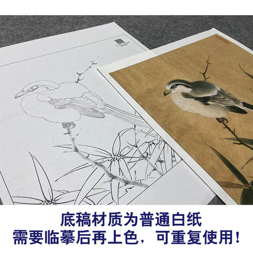 【大彩图】李晓明工笔画白描底稿小品《临宋竹鸠图》临摹勾线花鸟线稿K060 商品图3