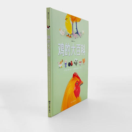 鸡的大百科 7-10岁 安妮索菲·柏曼 著 科普百科 商品图1