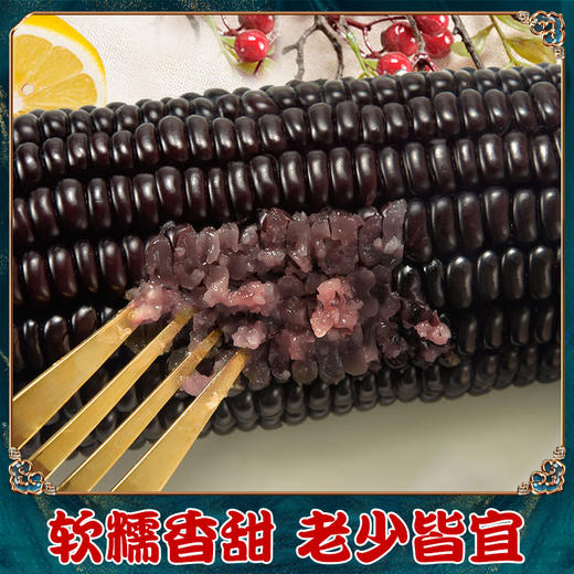 东北白糯玉米/黄糯玉米/黑糯玉米，真空锁鲜，颗粒饱满，香黏软糯，老少皆宜，特别适合身材管理期人群，全国包邮 商品图10