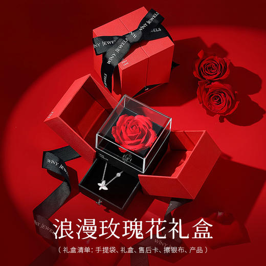 Winy925纯银幻影蝴蝶项链送女友闺蜜节日生日礼物 商品图2