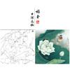 【大彩图】李晓明工笔画白描底稿斗方小品《白荷栖翠》荷花临摹勾线花鸟线稿K082 商品缩略图0