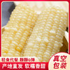 东北白糯玉米/黄糯玉米/黑糯玉米，真空锁鲜，颗粒饱满，香黏软糯，老少皆宜，特别适合身材管理期人群，全国包邮 商品缩略图6