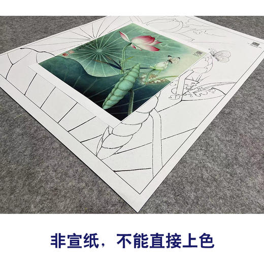 【大彩图】李晓明工笔画白描底稿《白蝶粉荷》荷花临摹勾线花鸟线稿K081 商品图2